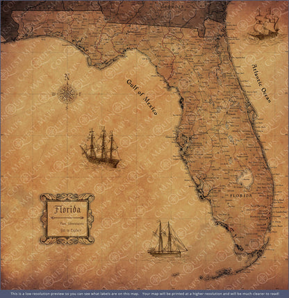 Push Pin Florida Map (Pin Board) - Golden Aged CM Pin Board