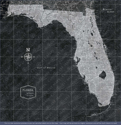 Push Pin Florida Map (Pin Board) - Modern Slate CM Pin Board