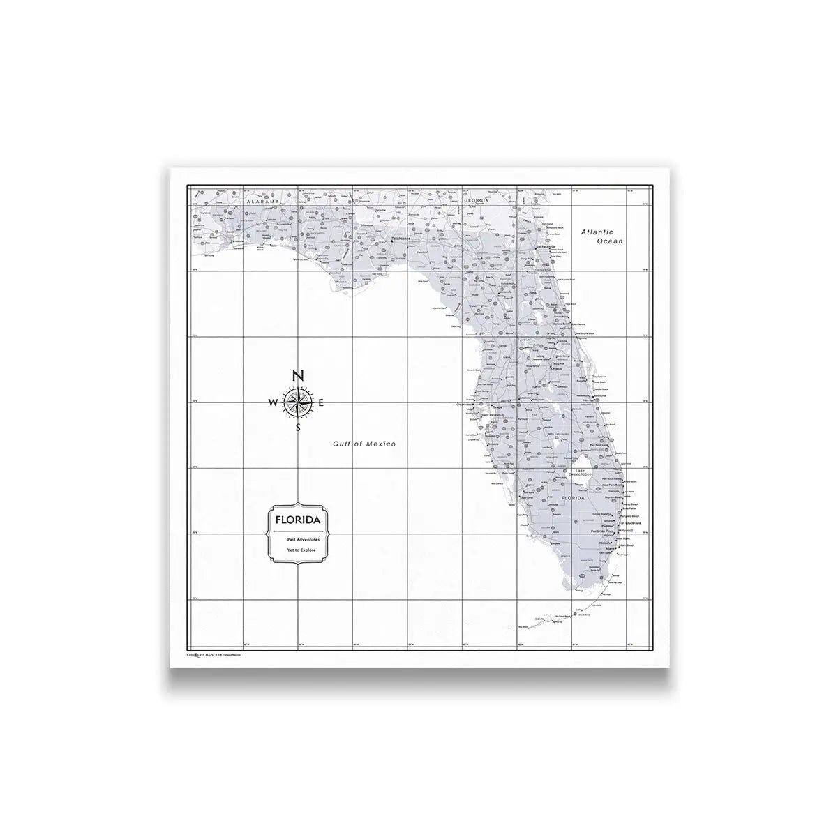 Push Pin Florida Map (Pin Board) - Light Gray Color Splash CM Pin Board