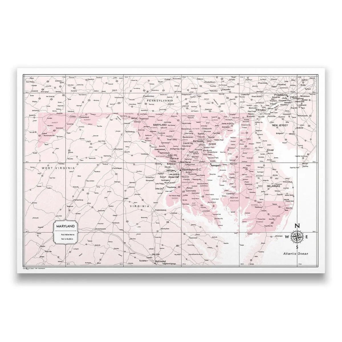 Travel Map Pins - Rose Gold Color